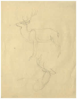 Visualizza l'immagine "FD D 286"